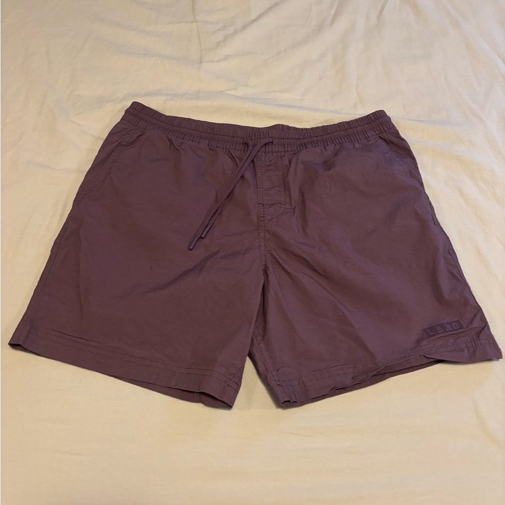 Men's Athletic Shorts in Purple